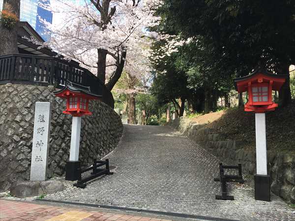 新宿十二社 熊野神社の十二社通り入口付近の桜