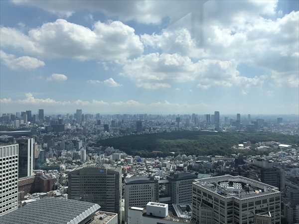 �s���W�]�䂩��̌i�F