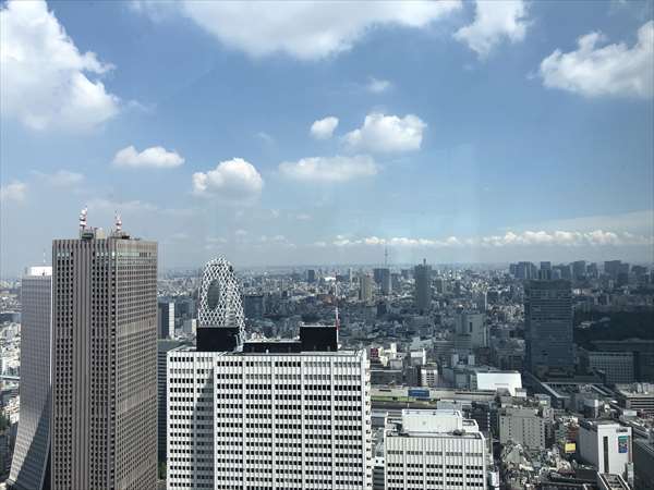 �s���W�]�����猩����X�J�C�c���[�Ɠ����h�[���̎ʐ^